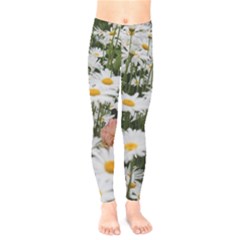 Champs De Marguerites Kids  Leggings by kcreatif