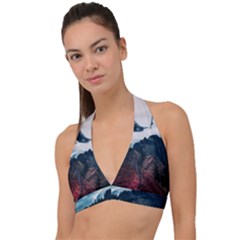 Blue Whale In The Clouds Halter Plunge Bikini Top by goljakoff