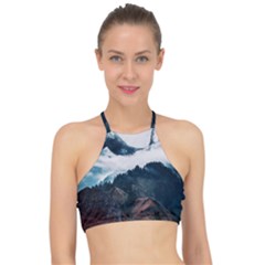 Blue Whale In The Clouds Racer Front Bikini Top by goljakoff