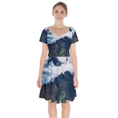 Whales Peak Short Sleeve Bardot Dress by goljakoff