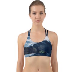 Whales Peak Back Web Sports Bra by goljakoff