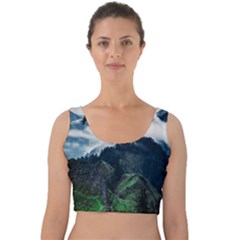 Whales Peak Velvet Crop Top by goljakoff