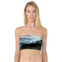 Whale Lands Bandeau Top by goljakoff