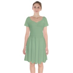 Dark Sea Green Short Sleeve Bardot Dress by FabChoice