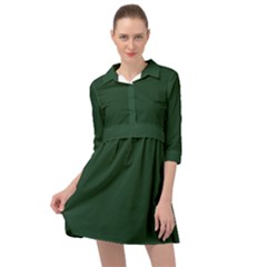 Eden Green Mini Skater Shirt Dress by FabChoice