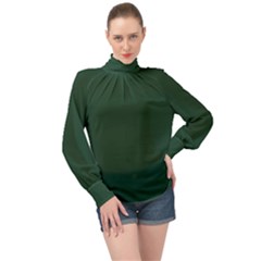 Eden Green High Neck Long Sleeve Chiffon Top by FabChoice