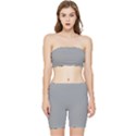 Drizzle Grey Stretch Shorts and Tube Top Set View1