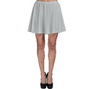 Glacier Grey Skater Skirt View1