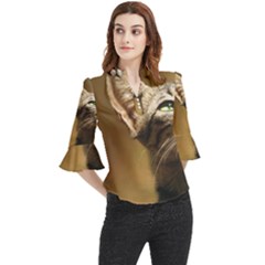 Cat 5mb Center Left Loose Horn Sleeve Chiffon Blouse