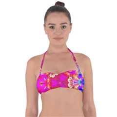 Newdesign Halter Bandeau Bikini Top by LW41021