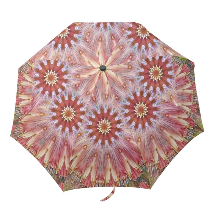 Pink Beauty 1 Folding Umbrellas