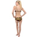 Golden Sands Layered Top Bikini Set View2