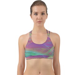 Color Winds Back Web Sports Bra