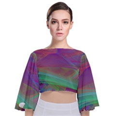 Color Winds Tie Back Butterfly Sleeve Chiffon Top