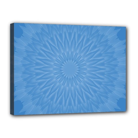 Blue Joy Canvas 16  X 12  (stretched)