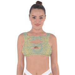 Shine On Bandaged Up Bikini Top by LW41021