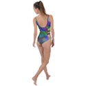 Prisma Colors Side Cut Out Swimsuit View2