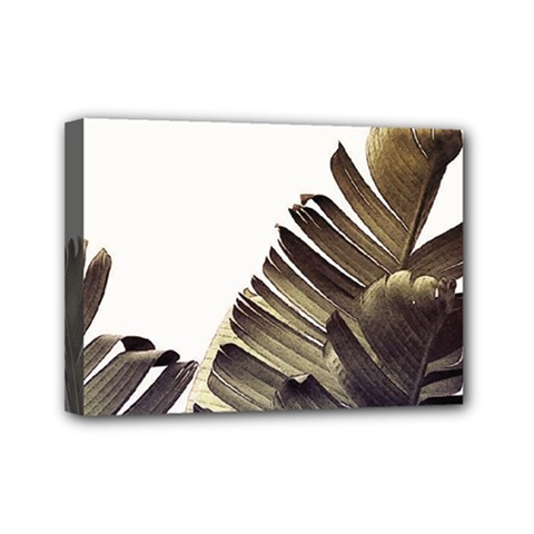 Vintage Banana Leaves Mini Canvas 7  X 5  (stretched) by goljakoff