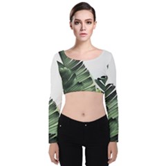 Banana Leaves Velvet Long Sleeve Crop Top by goljakoff