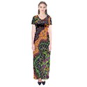 GoghWave Short Sleeve Maxi Dress View1