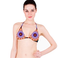 Rise An Shine Bikini Top by LW323