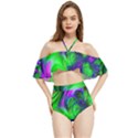 Feathery Winds Halter Flowy Bikini Set  View1