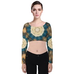 Bamboo Island Velvet Long Sleeve Crop Top by LW323