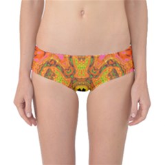 Sassafras Classic Bikini Bottoms