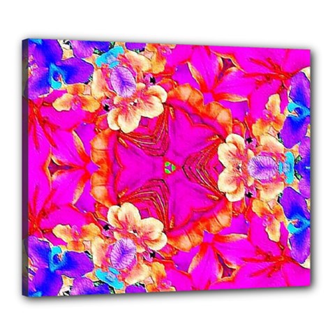 Pink Beauty Canvas 24  X 20  (stretched) by LW323