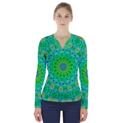 Greenspring V-neck Long Sleeve Top by LW323