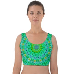 Greenspring Velvet Crop Top by LW323