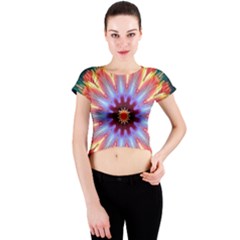 Passion Flower Crew Neck Crop Top by LW323