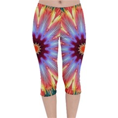 Passion Flower Velvet Capri Leggings  by LW323