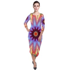 Passion Flower Quarter Sleeve Midi Velour Bodycon Dress by LW323