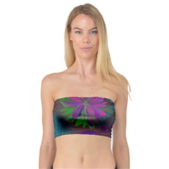 Evening Bloom Bandeau Top by LW323