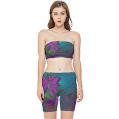 Evening Bloom Stretch Shorts And Tube Top Set