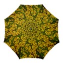 Daisy May Golf Umbrellas View1