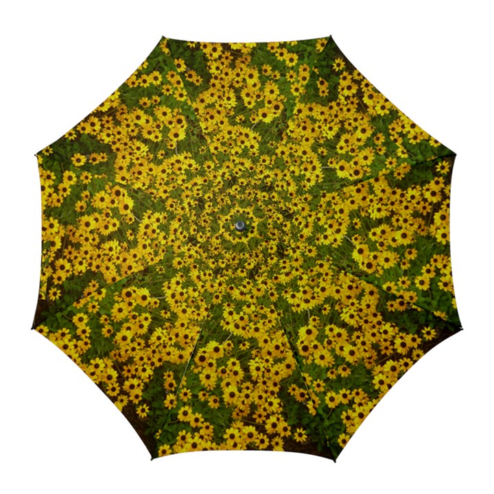 Daisy May Golf Umbrellas