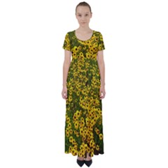 Daisy May High Waist Short Sleeve Maxi Dress by LW323