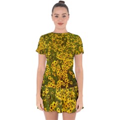 Daisy May Drop Hem Mini Chiffon Dress by LW323