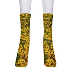 Daisy May Men s Crew Socks by LW323