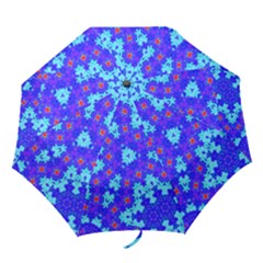 Blueberry Folding Umbrellas by LW323