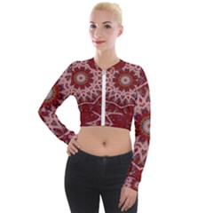 Redyarn Long Sleeve Cropped Velvet Jacket by LW323