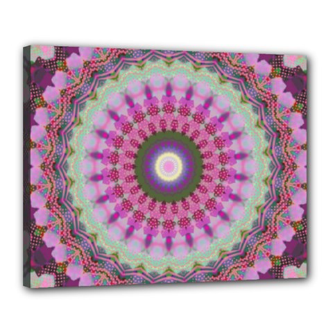 Sweet Cake Canvas 20  X 16  (stretched) by LW323