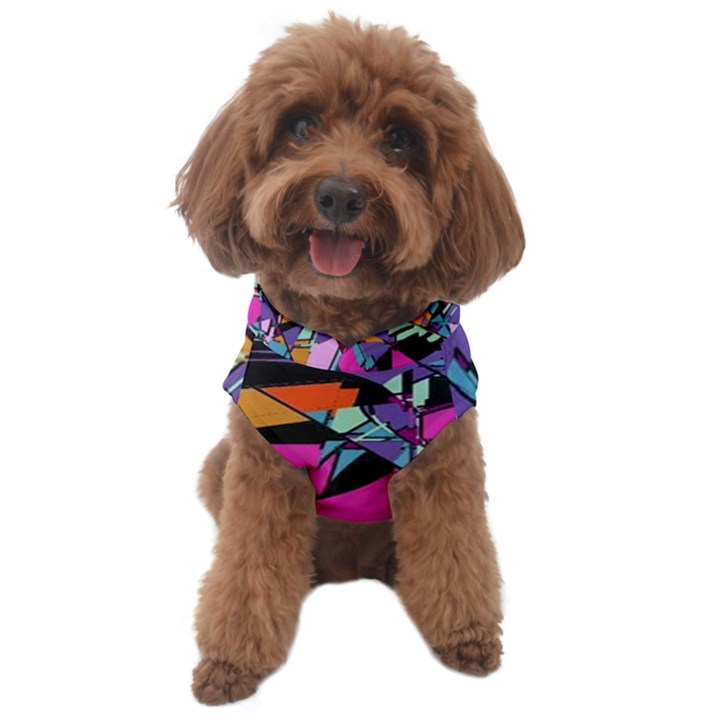 Abstract 2 Dog Sweater