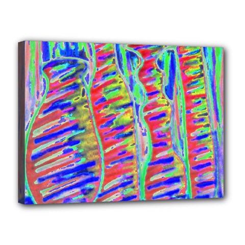 Vibrant-vases Canvas 16  X 12  (stretched)