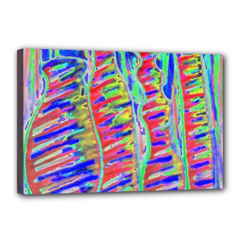 Vibrant-vases Canvas 18  X 12  (stretched)