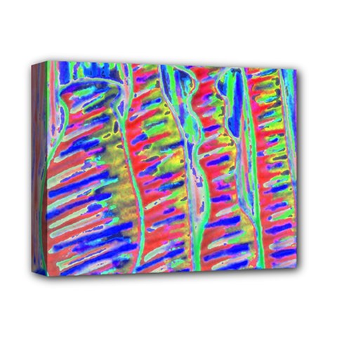 Vibrant-vases Deluxe Canvas 14  X 11  (stretched)