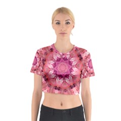 Love Cotton Crop Top by LW323