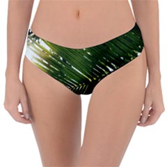 Relaxing Palms Reversible Classic Bikini Bottoms by LW323